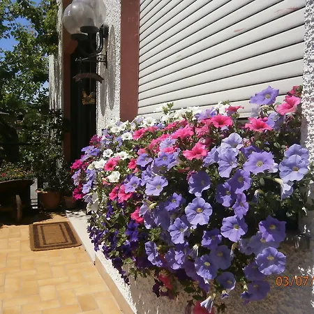Hotel Garni Rosa